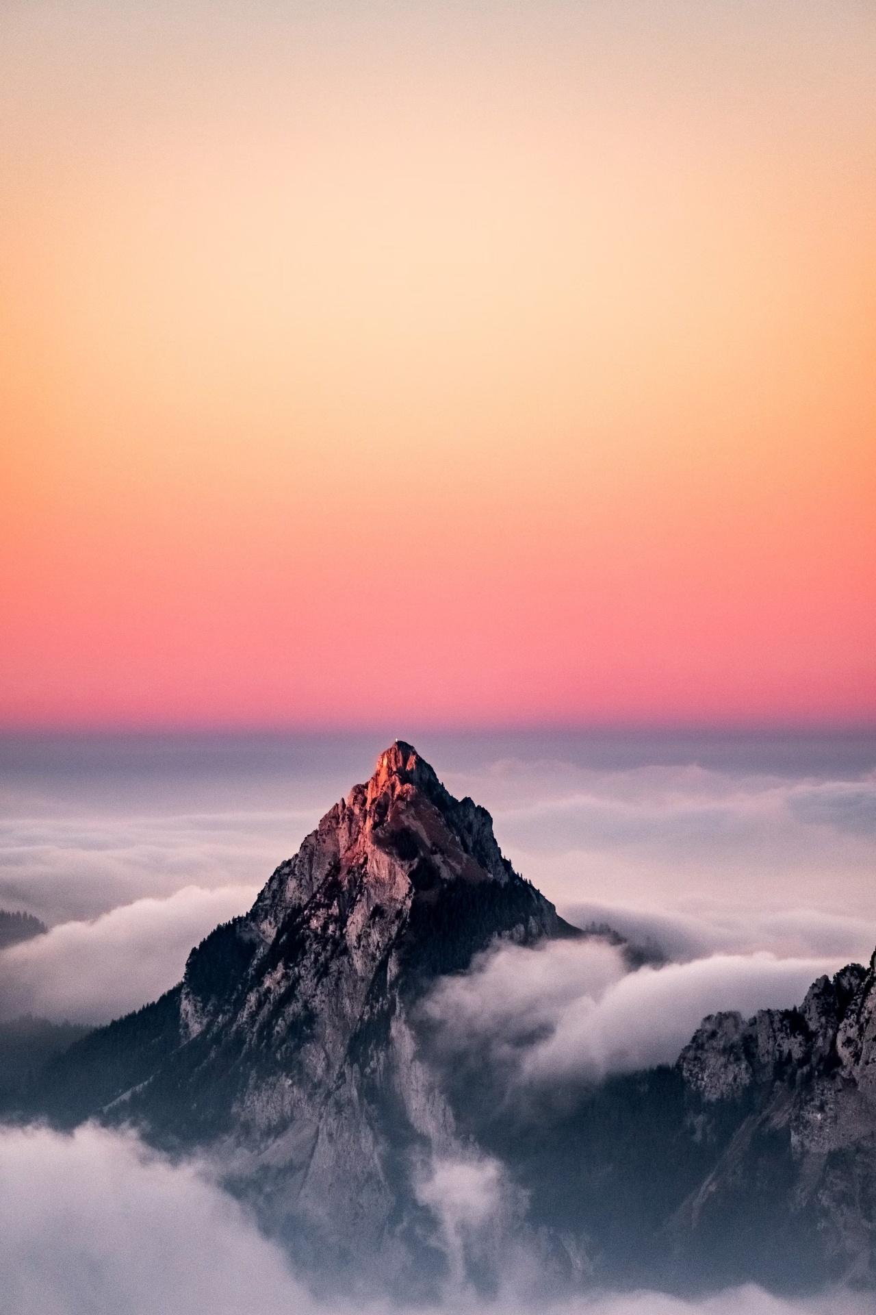 A mountain peak rising above a sea of clouds at sunset